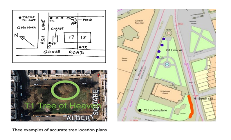 examples of tree location for S211 guidance