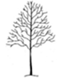 Crown lifting diagram