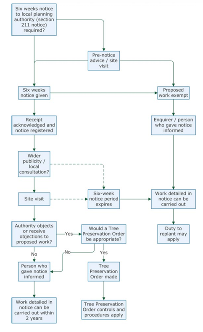 tree decision making process diagram